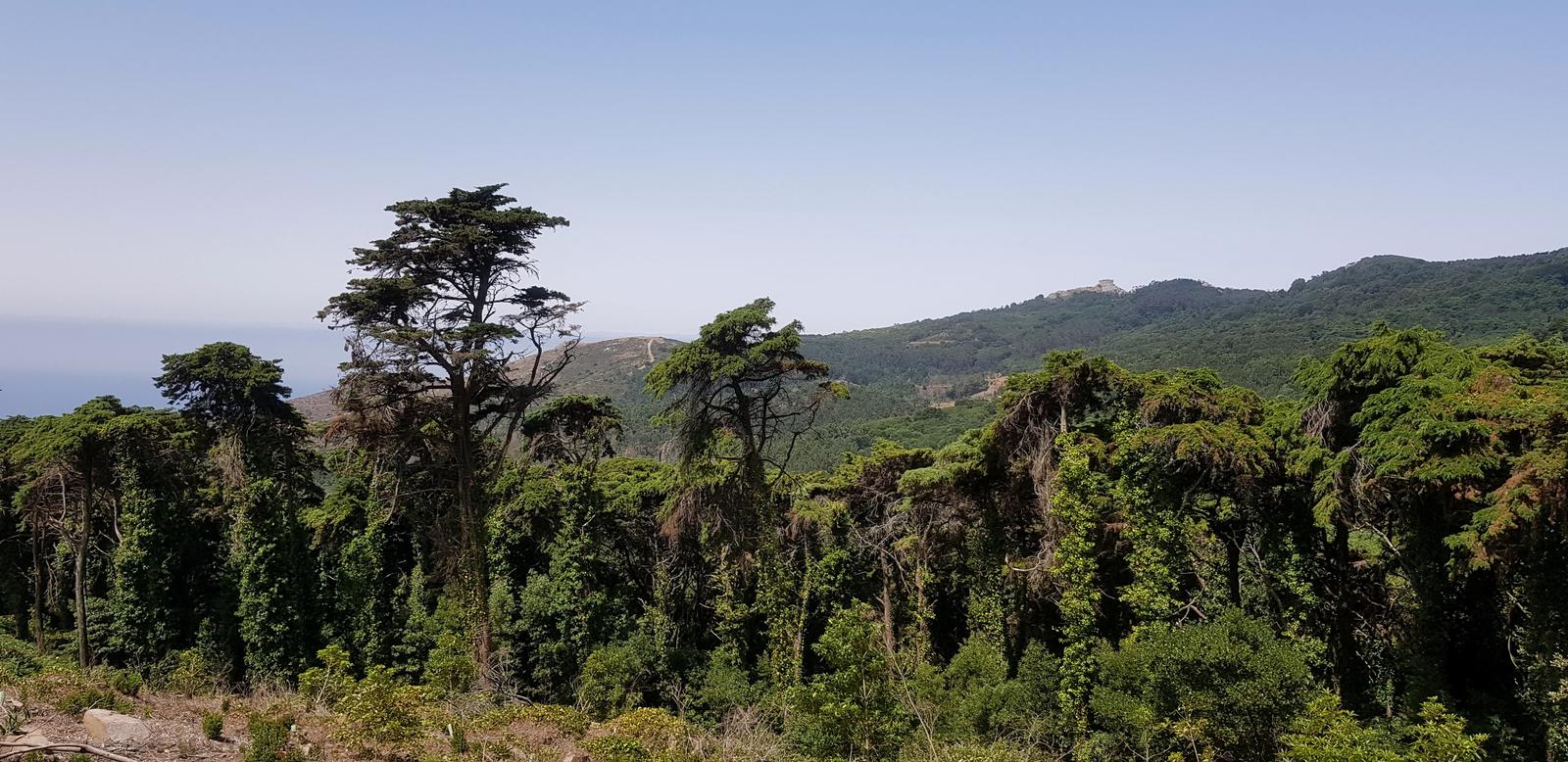 Pedra Amarela Viewpoint